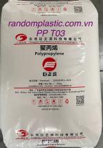 Hạt nhựa nguyên sinh PP T03