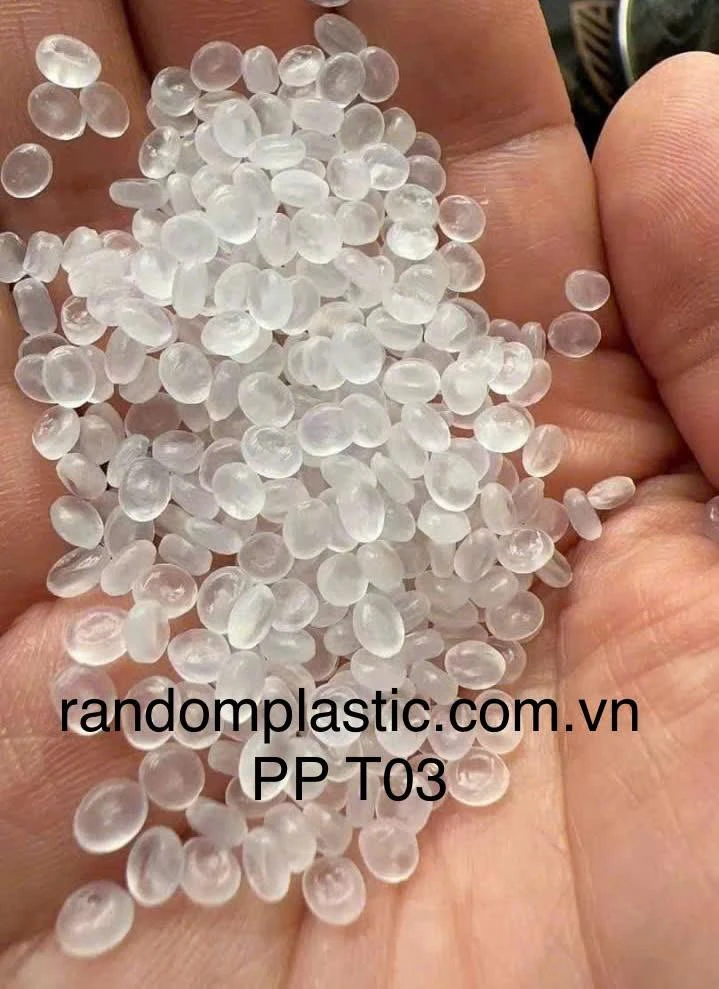Hạt nhựa nguyên sinh PP T03