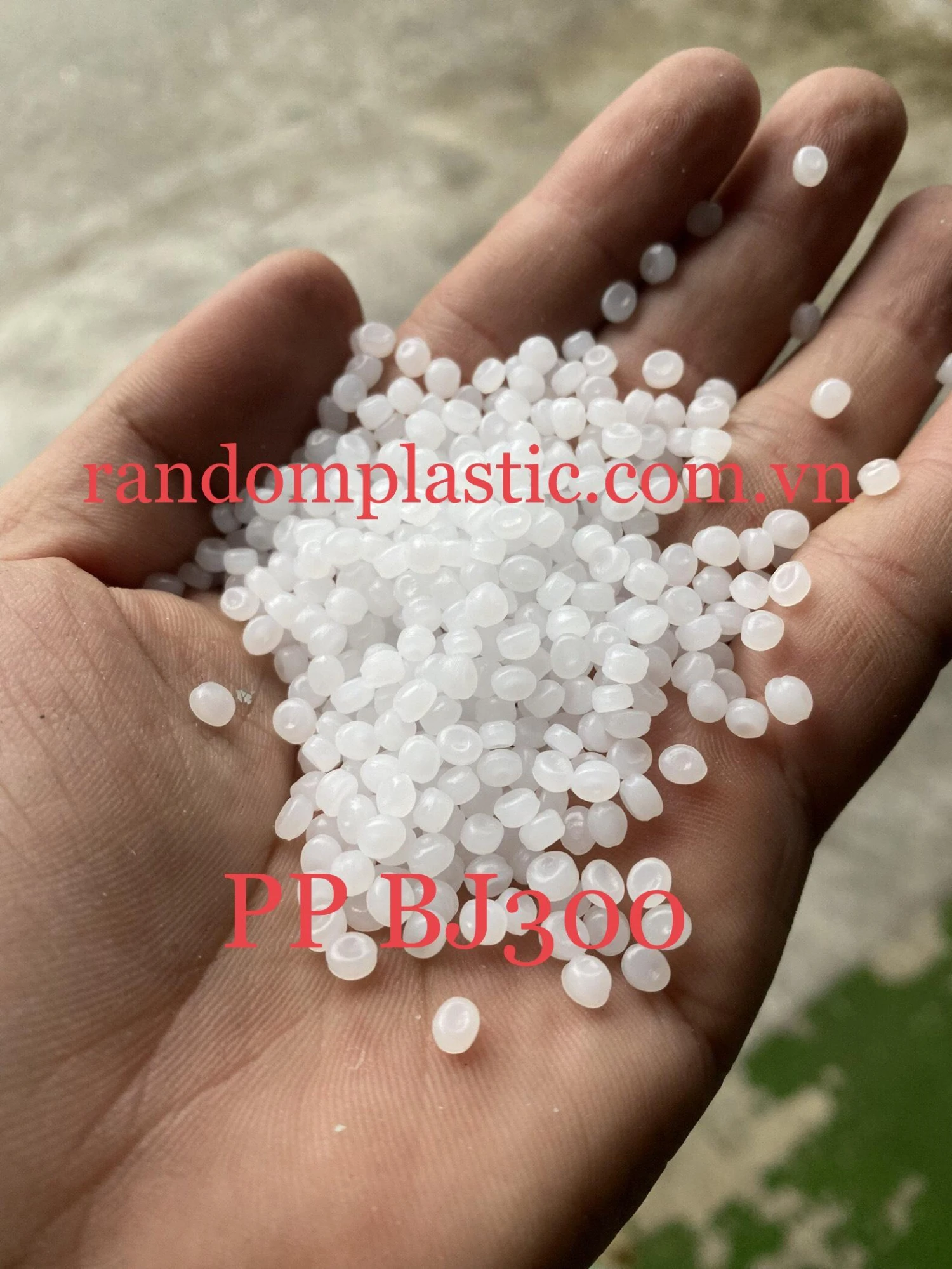 Hạt nhựa nguyên sinh PP BJ300